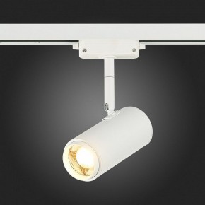 Светильник на штанге ST-Luce Zoom ST600.536.12 в Нытве - nytva.mebel24.online | фото 7