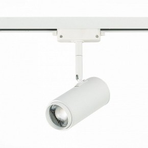 Светильник на штанге ST-Luce Zoom ST600.546.12 в Нытве - nytva.mebel24.online | фото 3