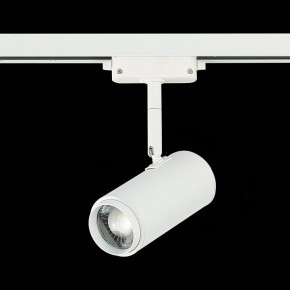 Светильник на штанге ST-Luce Zoom ST600.546.12 в Нытве - nytva.mebel24.online | фото 5