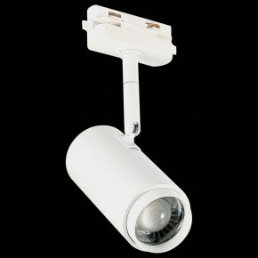 Светильник на штанге ST-Luce Zoom ST600.546.12 в Нытве - nytva.mebel24.online | фото 6