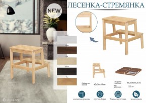 Табурет Стремянка в Нытве - nytva.mebel24.online | фото 6