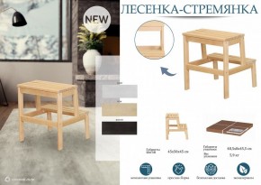 Табурет Стремянка в Нытве - nytva.mebel24.online | фото 4