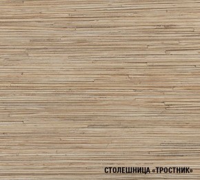 ТОМИЛЛА Кухонный гарнитур Прайм 4 (900*2000 мм ) в Нытве - nytva.mebel24.online | фото 6