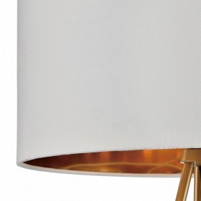 Торшер Lumion Tapioka 8077/1F в Нытве - nytva.mebel24.online | фото 6