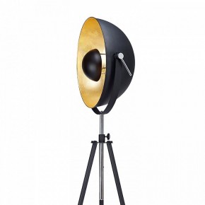 Торшер Lussole Sherrelwood LSP-9824 в Нытве - nytva.mebel24.online | фото 2