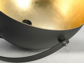 Торшер Lussole Sherrelwood LSP-9824 в Нытве - nytva.mebel24.online | фото 4