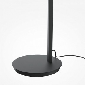 Торшер Maytoni Emphaty MOD363FL-L14B3K в Нытве - nytva.mebel24.online | фото 5