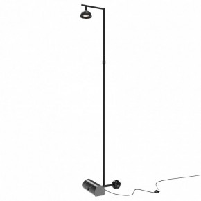 Торшер Maytoni Pikant MOD372FL-L10B3K в Нытве - nytva.mebel24.online | фото