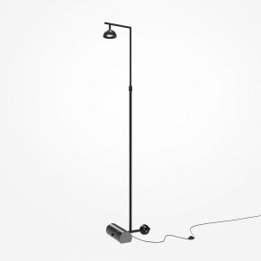 Торшер Maytoni Pikant MOD372FL-L10B3K в Нытве - nytva.mebel24.online | фото 2