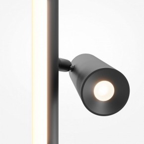 Торшер Maytoni Thin MOD395FL-L28B3K в Нытве - nytva.mebel24.online | фото 6