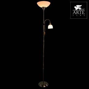 Торшер с подсветкой Arte Lamp Duetto A9569PN-2AB в Нытве - nytva.mebel24.online | фото 3