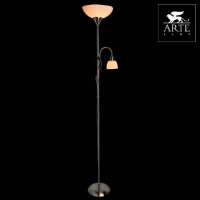 Торшер с подсветкой Arte Lamp Duetto A9569PN-2SS в Нытве - nytva.mebel24.online | фото 3