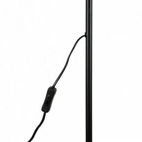 Торшер Uniel UML-T701 UL-00010188 в Нытве - nytva.mebel24.online | фото 8