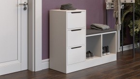 Тумба для обуви Тип 14 в Нытве - nytva.mebel24.online | фото 5