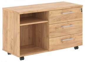 Тумба комбинированная Torr-Z TLC-3D.1A в Нытве - nytva.mebel24.online | фото
