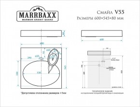 Умывальник над стиральной машиной (600*545*80) Смайл V55D1 (белый) с кронштейном без сифона (V55D1) в Нытве - nytva.mebel24.online | фото 2