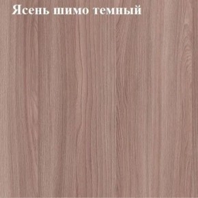 Вешалка для одежды (Ясень шимо темный) в Нытве - nytva.mebel24.online | фото 2