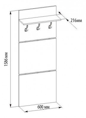 Вешалка настенная ВШ-5.1 в Нытве - nytva.mebel24.online | фото