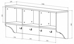 Вешалка-полка ДримСтар ДС-30 в Нытве - nytva.mebel24.online | фото 3