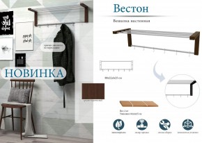 Вешалка-полка Вестон в Нытве - nytva.mebel24.online | фото 3