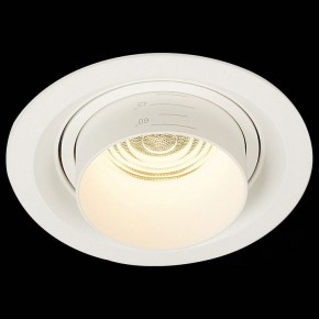 Встраиваемый светильник ST-Luce Zoom ST701.538.12 в Нытве - nytva.mebel24.online | фото 4