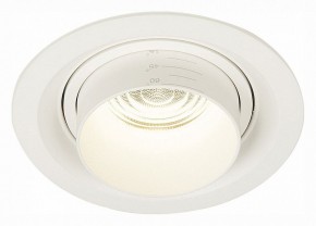 Встраиваемый светильник ST-Luce Zoom ST701.548.12 в Нытве - nytva.mebel24.online | фото 2